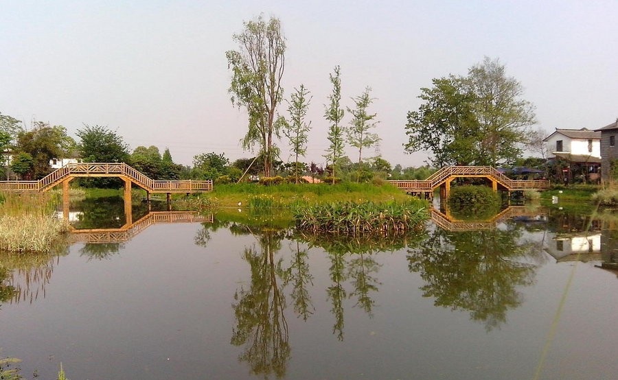 中秋成都租車自駕旅游去香草湖濕地公園